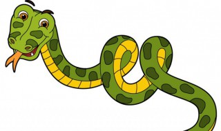 梦见绿色的蛇（梦见绿色的蛇追自己是什么意思）