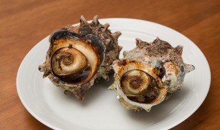 怎么煮海螺好吃 怎么做海螺好吃又简单