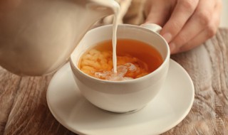 茶百道厚乳奶茶什么意思 茶百道厚乳奶茶是植脂末吗