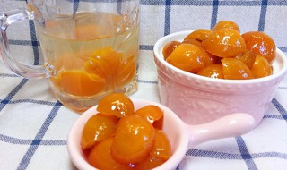 金桔膏适合什么咳嗽（金桔膏适合寒咳还是热咳）