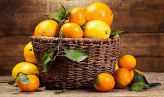 橙子种植方法和管理 橙子种植方法和管理技术