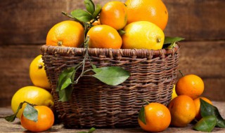 橘子种子怎么种 橘子种子怎么种植盆栽