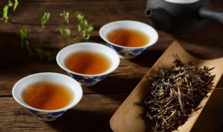 学喝茶喝什么茶好（学喝茶喝什么茶好呢）