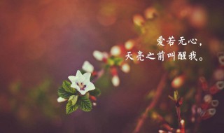 老了感悟人生的句子（老了感悟人生的句子简短）