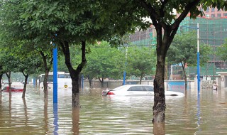 大暴雨大还是特大暴雨大 大暴雨和特大暴雨主要分布在我国的哪个地方