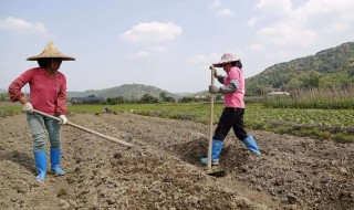 女人干活到多少岁 女人干活到多少岁最好