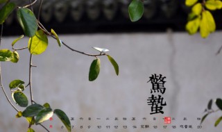 惊蛰节气有什么传统习俗 惊蛰节气的现象是什么