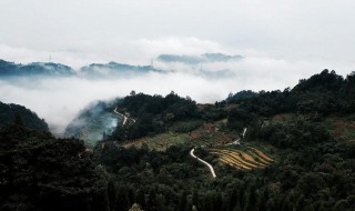 四川雅安旅游景点 四川雅安旅游景点排名