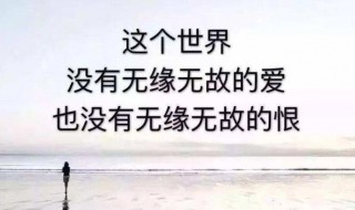 放鸽子说说心情短语 放鸽子说说心情短语搞笑