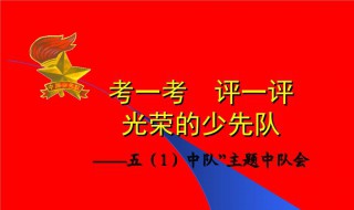 少代会感言100字 少代会感言100字怎么写