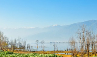 八月份旅游攻略云南 八月份云南旅游最佳地方