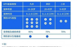 九价疫苗怎么预约的 九价疫苗预约的下午可以上午去打疫苗吗