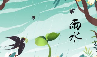 雨水节气的特点和风俗（雨水节气的特点和风俗蚂蚁庄园）