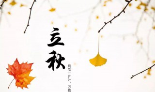 立秋节气文案（立秋节气文案 2023年立秋节气文案短句干净）