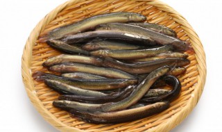 泥鳅怎么清洗 泥鳅怎么清洗比较干净