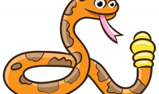 响尾蛇是怎样发现猎物的 响尾蛇用什么发现猎物