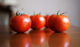 西红柿怎么种盆栽 西红柿盆栽种植技术与管理