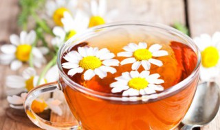 菊花茶泡水喝有什么好处（菊花茶泡水喝有什么好处吗）