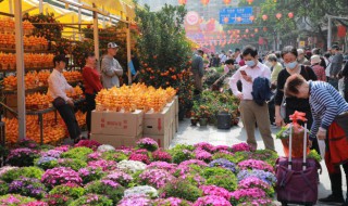 春节原地过年的文案句子 春节原地过年的文案句子怎么写