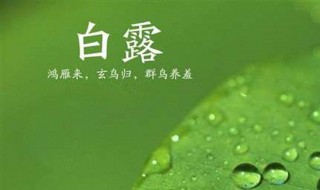 白露出生取名（白露出生取名字）