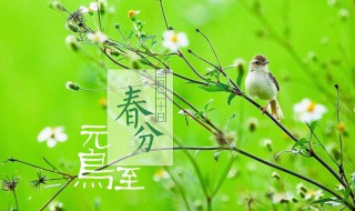 二十四节气中第四个节气介绍（二十四节气中第四个节气是什么）