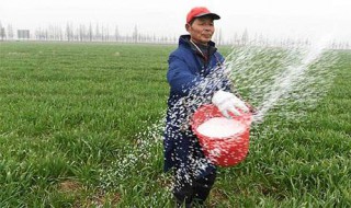 为什么农民老了没有退休 为什么农民老了没有退休金