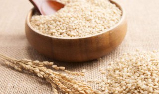 糙米的功效作用有什么 糙米的功效与作用及营养价值