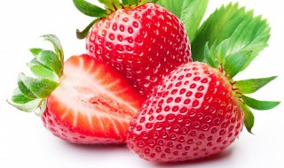 如何在花盆里种植草莓 如何在花盆里种植草莓苗