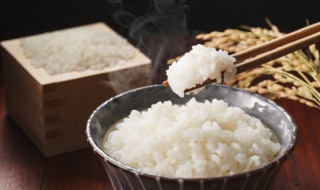 电饭煲怎么煮饭步骤（电饭煲的按键用法图示）