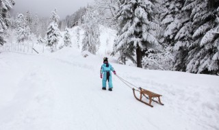 雪的等级划分 雪的等级划分标识