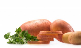 土豆起源于什么时候 土豆起源于哪个朝代