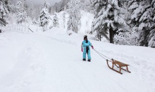 高山滑雪起源于什么 高山滑雪起源于什么时期