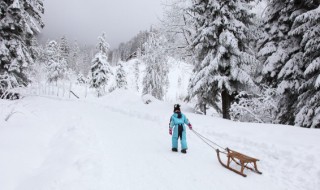 梦见下雪是什么意思预兆（梦见下雪,是什么意思）