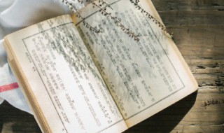 助力2022冬奥会口号（助力2022冬奥会口号是什么）