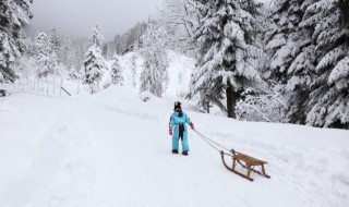 雪车别称是什么（雪车别称是什么车）