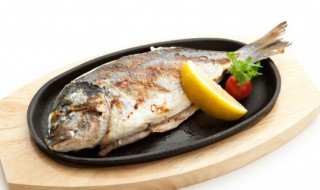 夏天该吃什么鱼的家常做法 夏季吃什么鱼最有营养