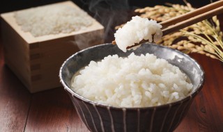 米饭能放几天 冰箱米饭能放几天