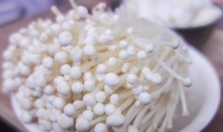 金针菇汤的功效有什么（金针菇汤的功效与作用）