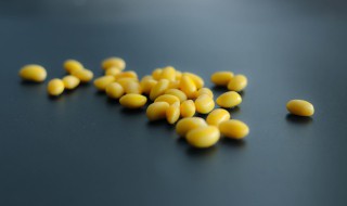 黄豆的做法有哪些 黄豆的做法?