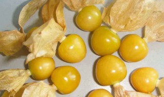 菇茑孕妇能吃吗 孕妇能吃菇类