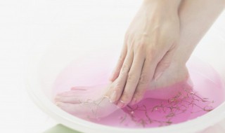 女人可以天天用艾草泡脚吗（女人能天天用艾草泡脚吗）