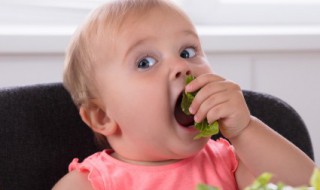 宝宝多大可以用电蚊香液 电蚊香开一晚上对婴儿有害吗