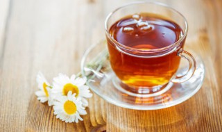 菊花茶怎么泡比较好（菊花茶正确泡法）