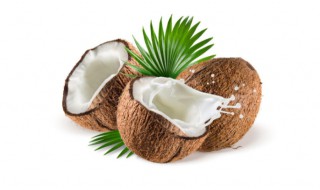 椰子的保存方法（椰子的保存方法视频）