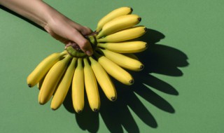 怎么保存没熟的香蕉（怎么保存没熟的香蕉不会坏）