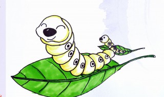 蚕一二三四五龄长度 蚕一二三四五龄长度是多少