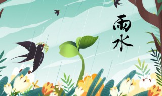 雨水养生禁忌（雨水养生禁忌有哪些）