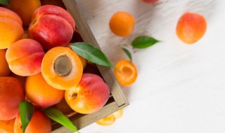 富含维生素b1的水果种类有哪些 富含维生素b1的水果和蔬菜
