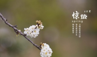 惊蛰雷鸣有什么含义 惊蛰鸣雷阵响
