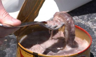 鲱鱼罐头为什么会臭（鲱鱼罐头为什么臭还有人吃）